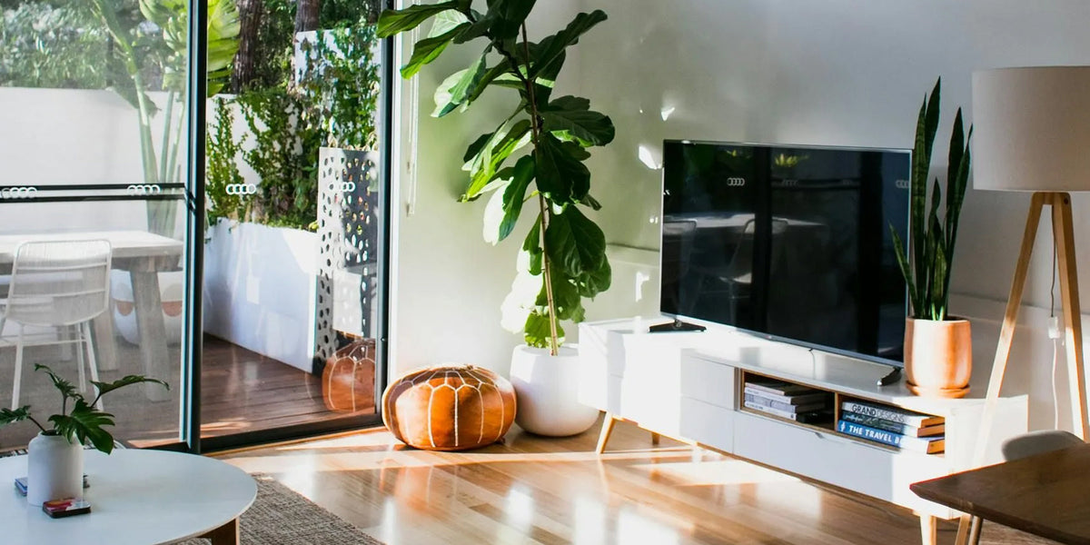 De 5 ultieme woondecoraties
