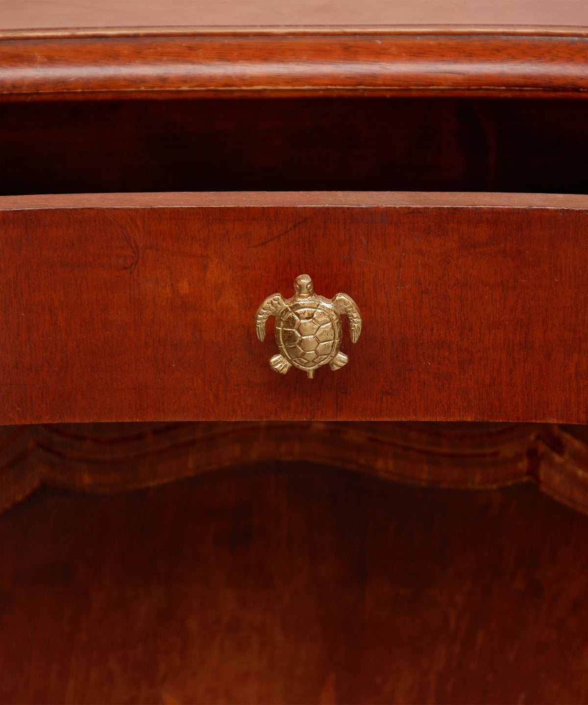 Doing Goods kastknop Tommy Turtle